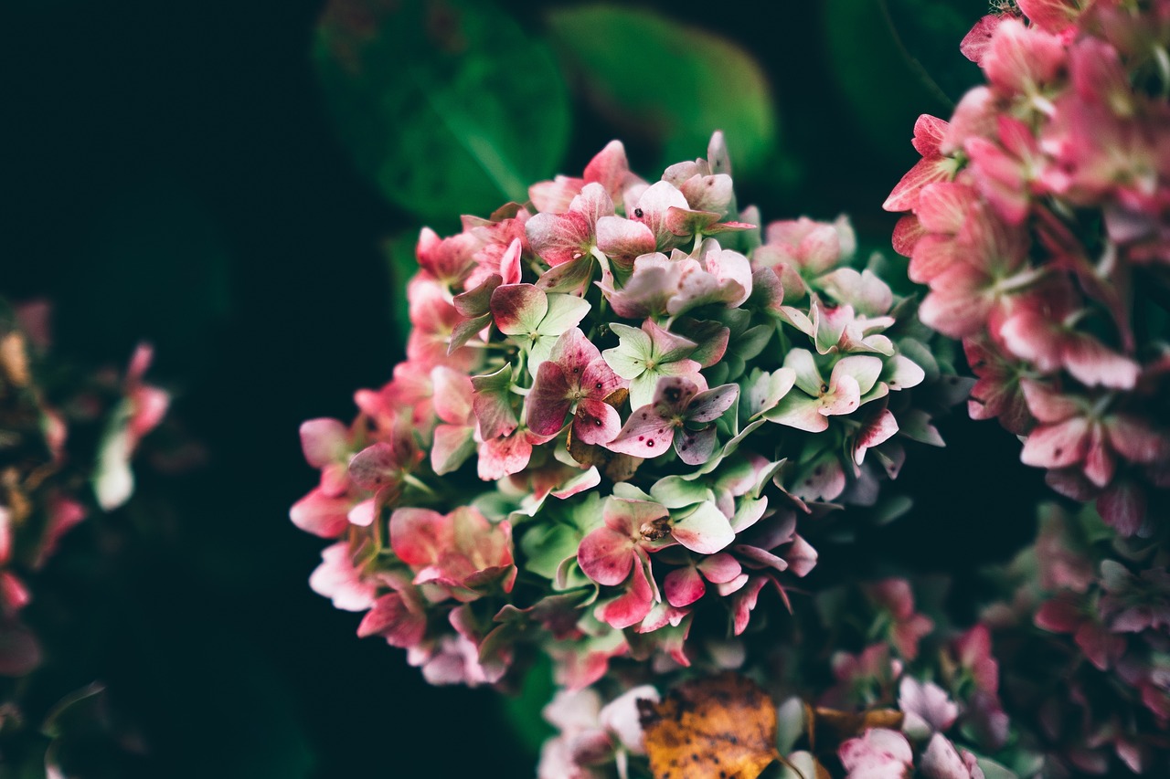 Why Vertical Gardens are Crucial for Urban Green Spaces